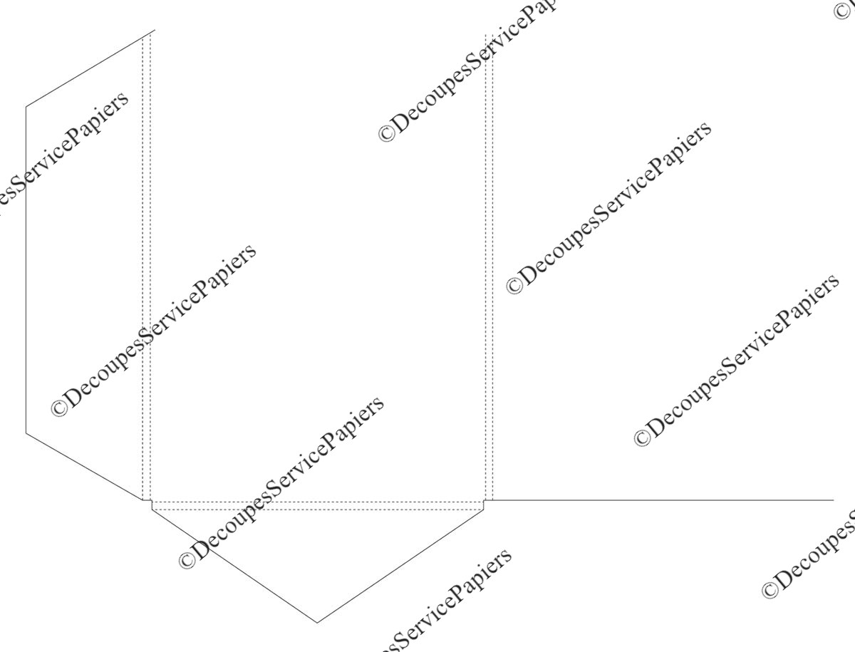 CHEMISE F 220 X 308 R5 O 527 X 385.jpeg